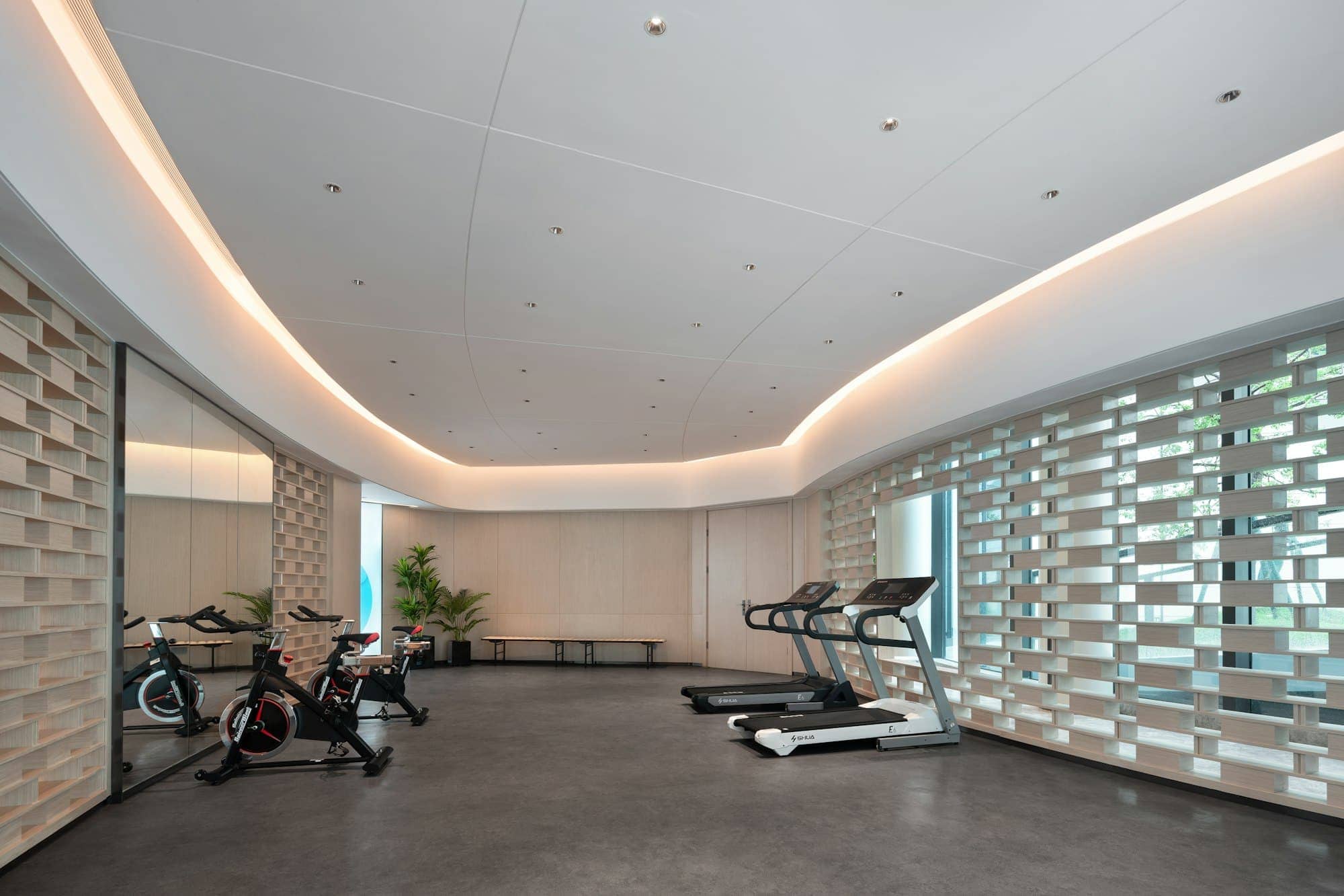 Arc Mirror · wide interior, modern home gym