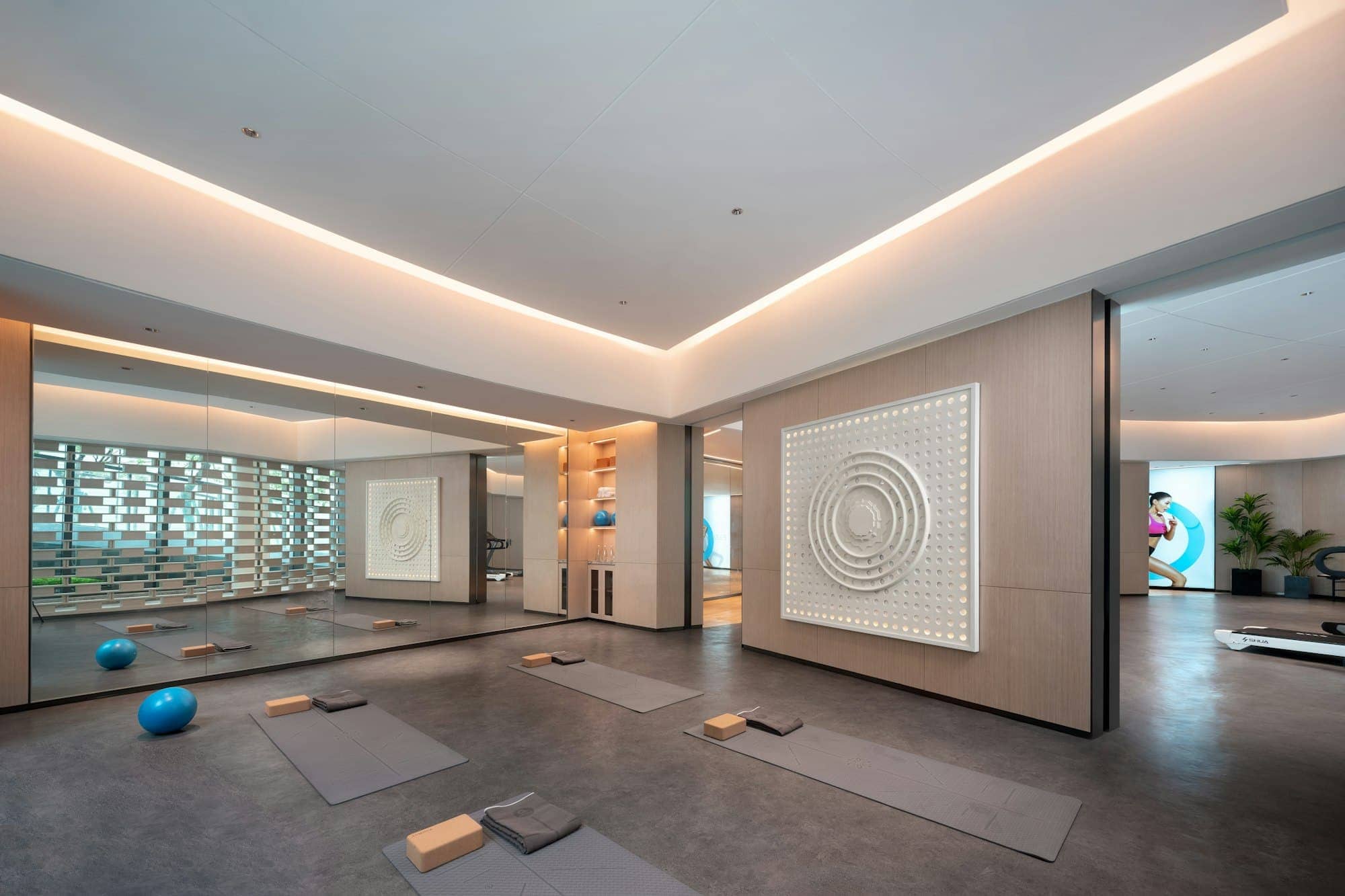 Ground Mat · wide interior, modern home gym