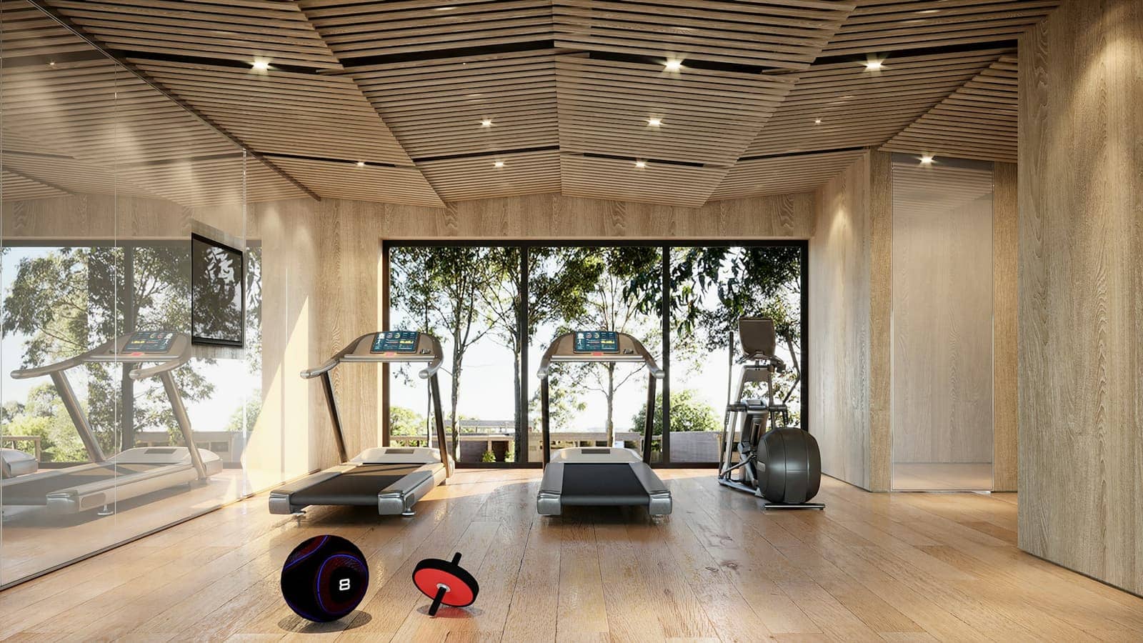 Line Treadmill · installed in a finished space