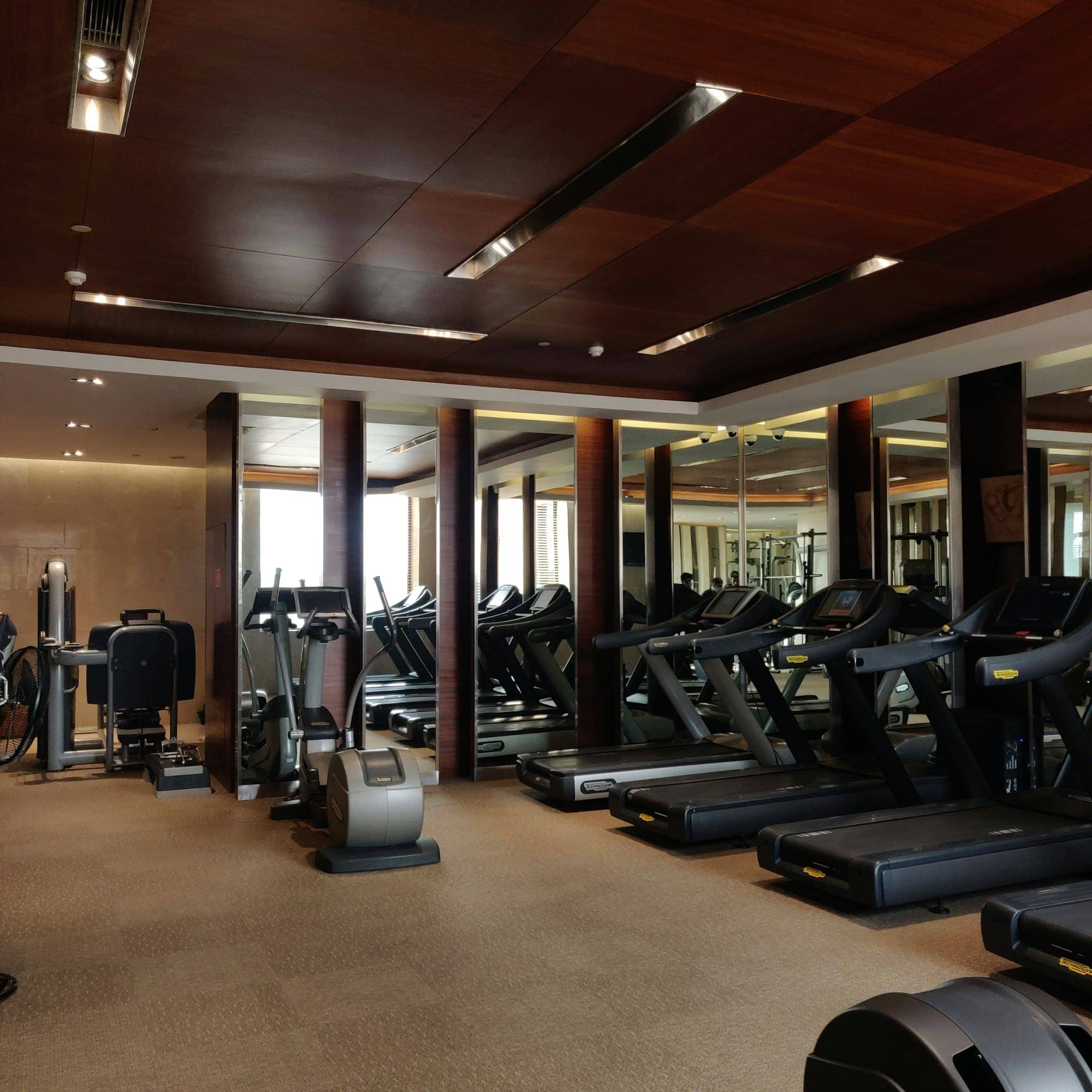 Line Treadmill · wide interior, modern home gym