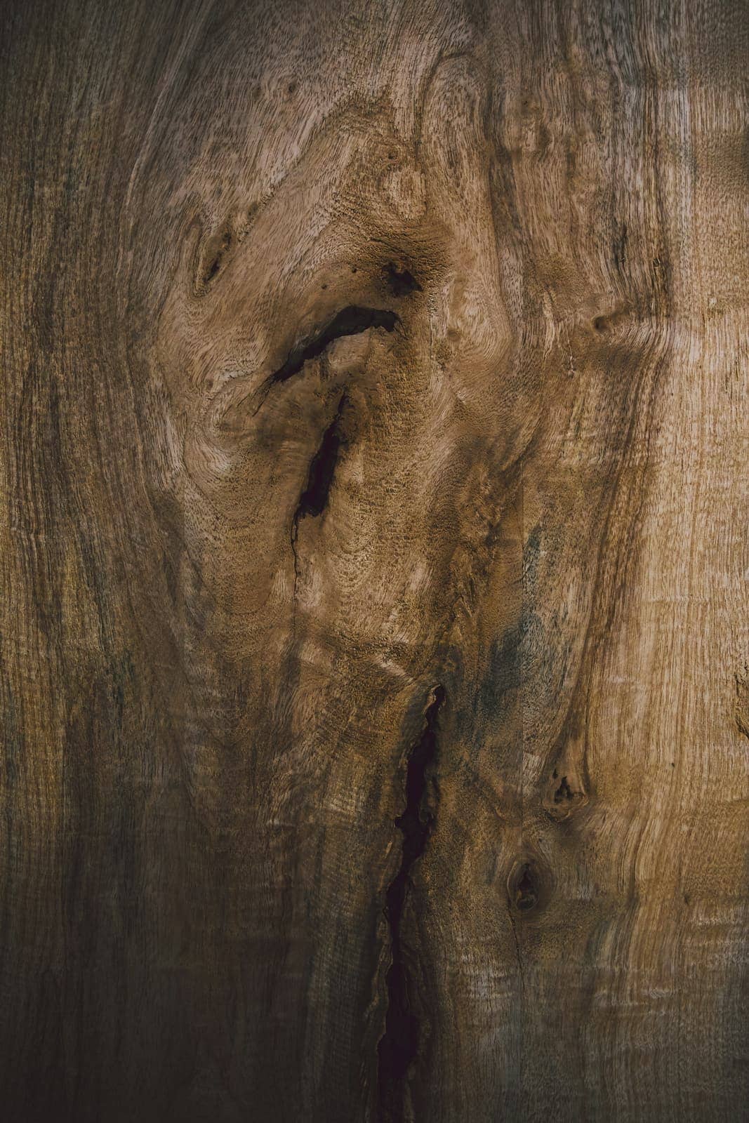 Still Rower · material close-up